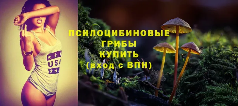 Галлюциногенные грибы Magic Shrooms  hydra ТОР  Соликамск  купить  цена 